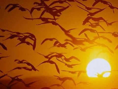 Рекордните 22 градуса днес жега в Ловеч