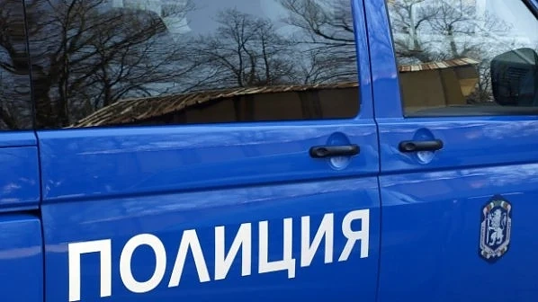 Роми безчинстват в Западен парк в София