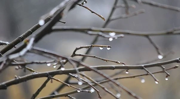 Днес облачно с температури от 4°до 17°. Очакват се валежи