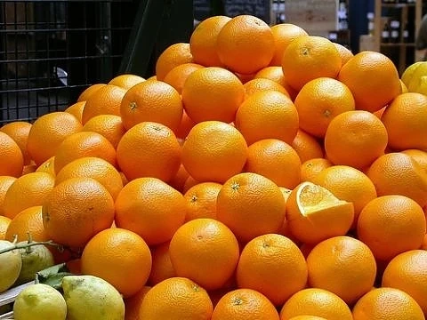 Цитрусите изчезват заради гръцката блокада