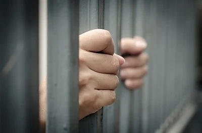 Мъж отива в затвора за убийство на котка