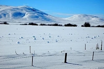 Рядко природно явление образува снежни топки в Айдахо (СНИМКИ)