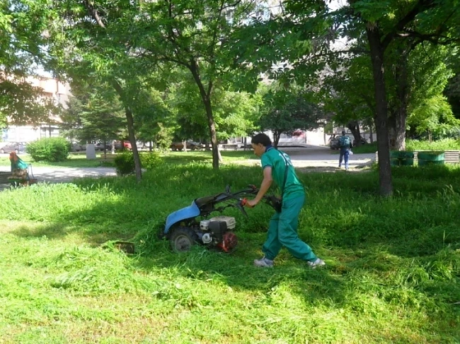  Започват да косят тревата в парковете