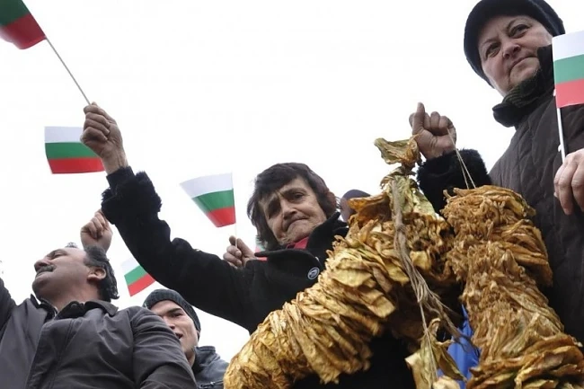 Тютюнопроизводителите на национален протест утре