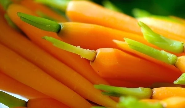 8 храни с които се отслабва бързо