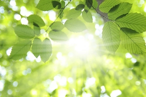 Утре ще бъде топло, до 26°