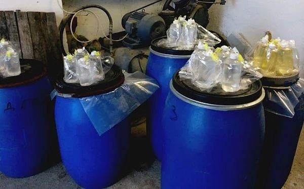 Хванаха 2 тона нелегална ракия