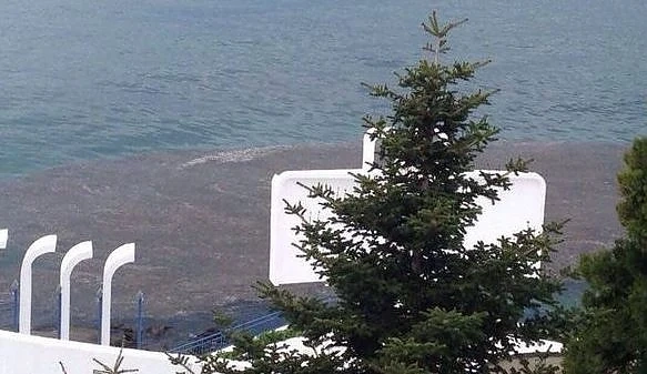 Огромно черно петно изплува в Поморие пред лятното кино 