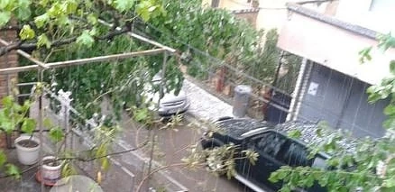Градушка падна в Южна България (СНИМКИ)