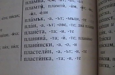 Над 4300 нови думи за последните 20 години