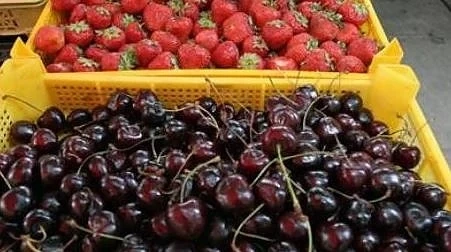 Скъпи плодове заради дъждовната пролет 