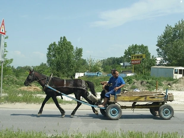 Рейс блъсна кон с каруца