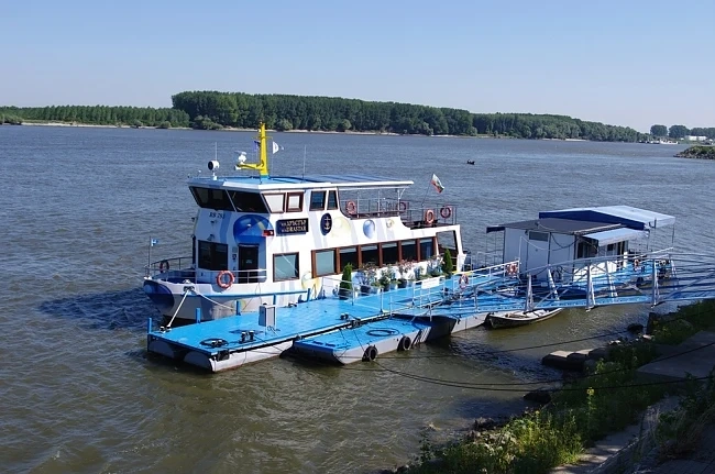 Момиче изчезна във водите на Дунав