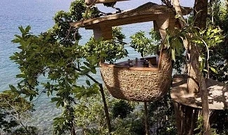 Ресторант на дърво (СНИМКИ)
