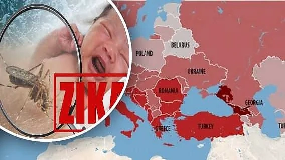 Учени: В България има умерен риск от разпространение на вируса Зика