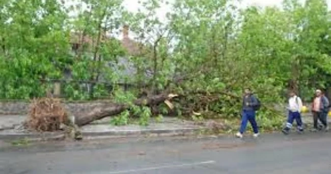 Ураган премина през Перущица