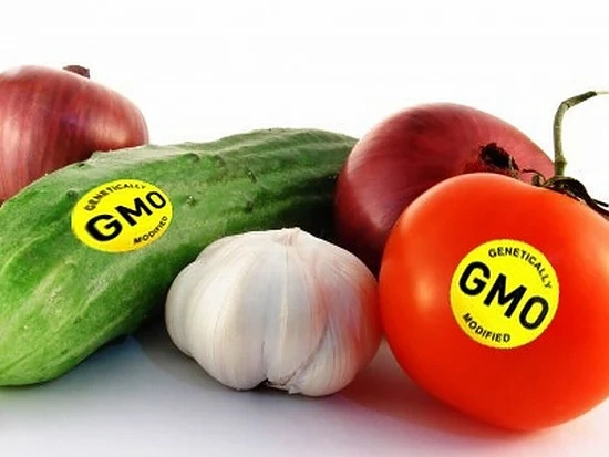 Русия забрани отглеждането на ГМО продукти