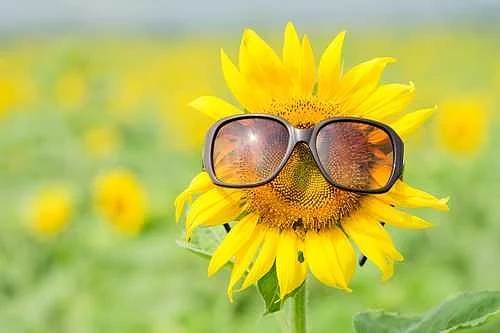 Утре слънчево с температури между 26° и 31°