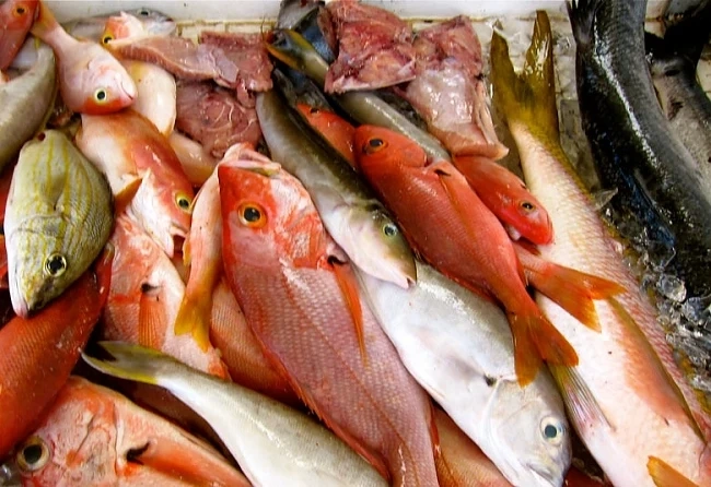 Прясната риба по морето на солени цени