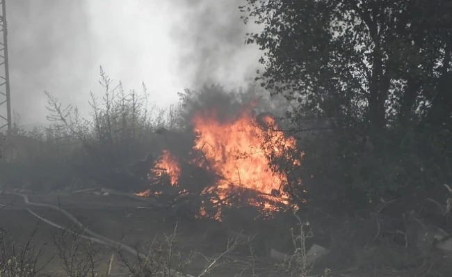 Голям пожар край Благоевград