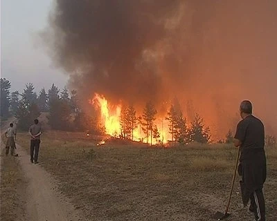  Роми дървосекачи виновни за пожара в Ардинско