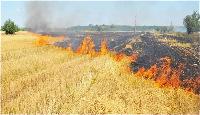 125 пожара е имало днес на територията на страната