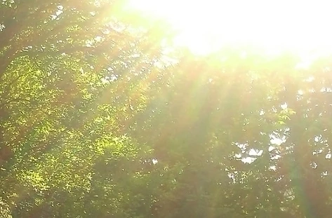 Днес горещо с максимални температури между 31° и 36°