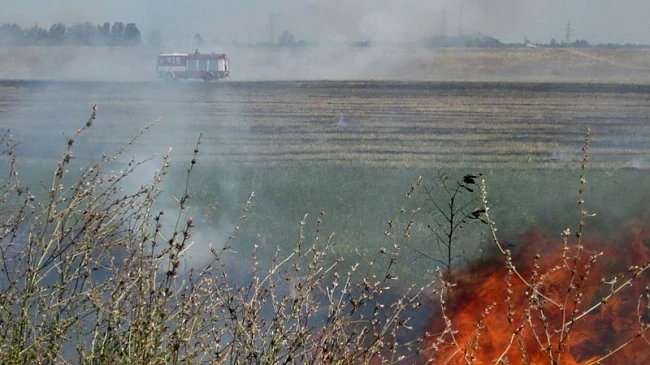 Пожарът край село Лисово е овладян
