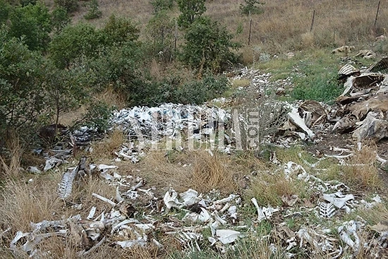 Ето го лешоядния парк, заради който искат да спират АМ \