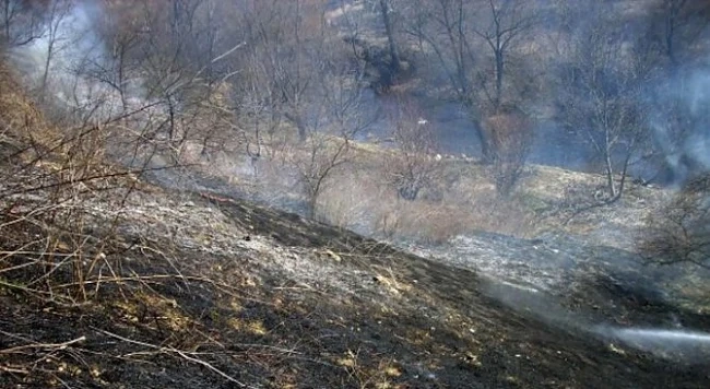 Нов пожар гори край Гълъбово 