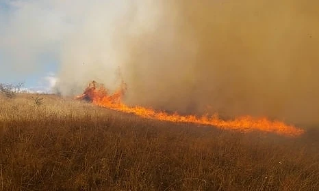 Пожара край Харманли се разраства 