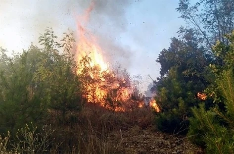 Отново пламна пожарът край Граматиково