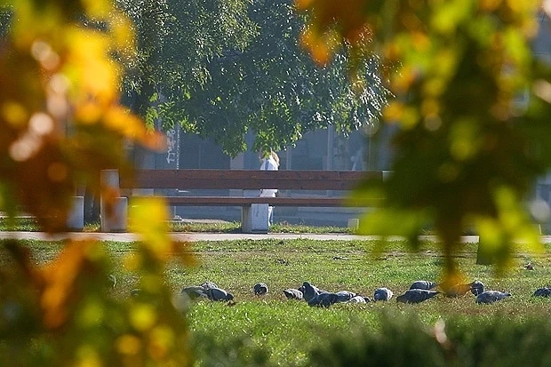 Утре ни очаква слънчево и топло време