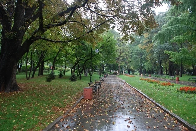 Утре на места ще превали дъжд 