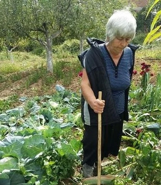 70 крави опустошиха цяло село 