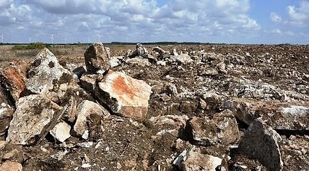 Зелените и Дневник провалят проект за лозя