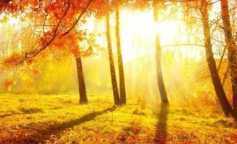 Днес слънчево и топло с максимални температури между 25° и 30°