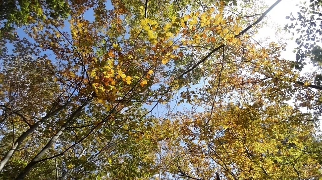 Днес отново слънчево и топло с максимални температури между 25° и 30°
