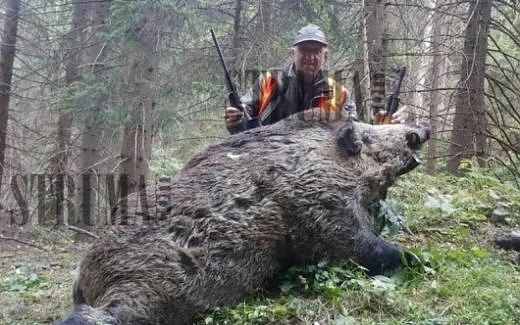 Бизнесмен застреля огромен глиган 