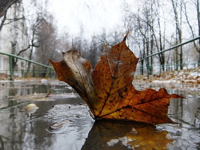 Днес облачно и дъждовно с максимални температури между 9° и 22°
