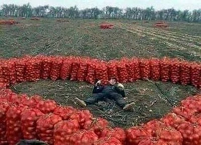 Изоставен от гаджето си се обясни в любов на къра 