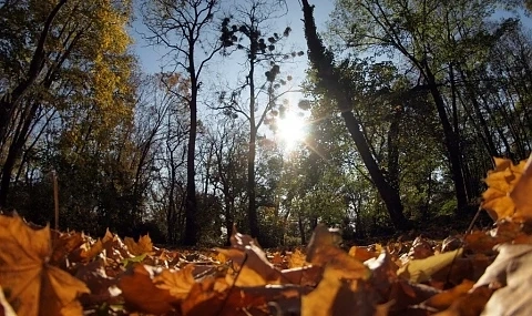 Температурите скачат до 20°