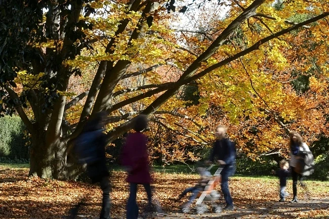 Днес слънчево с максимални температури между 11° и 16°