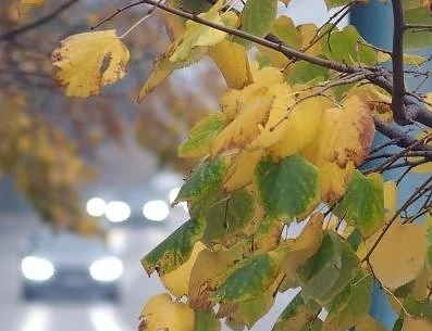 Днес предимно облачно с максимални температури между 7° -16° 