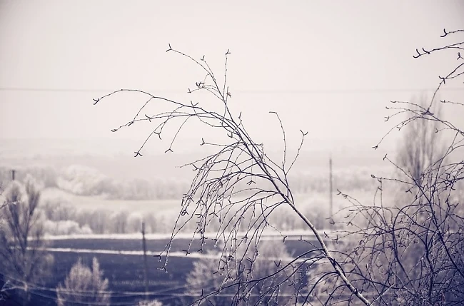 Утре облачно, на места ще прехвърча сняг. Температурите ще са между -6° и -3°