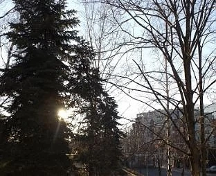 Днес слънчево с максимални температури между 2° и 7°