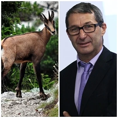 Колко лъжи могат да се скрият зад влажните очи на една дива коза?