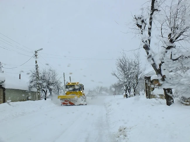 15 области с жълт код 