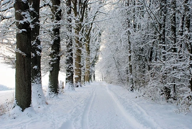 Януари ще бъде по-студен от обичайното 