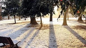 Днес слънчево с максимални температури между 4° и 9°